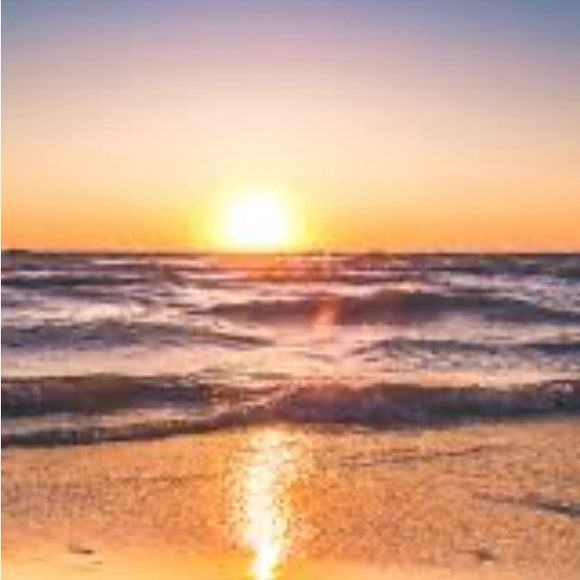 Meet your Posher, Erica - Picture 1 of 1